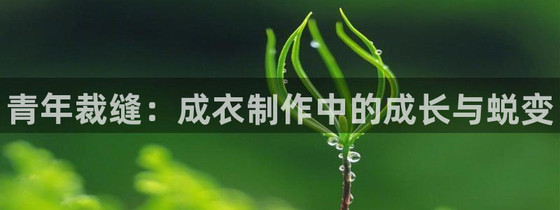 利记bet官网登录入口
