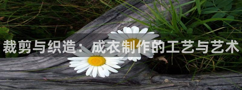 利记 利记官网