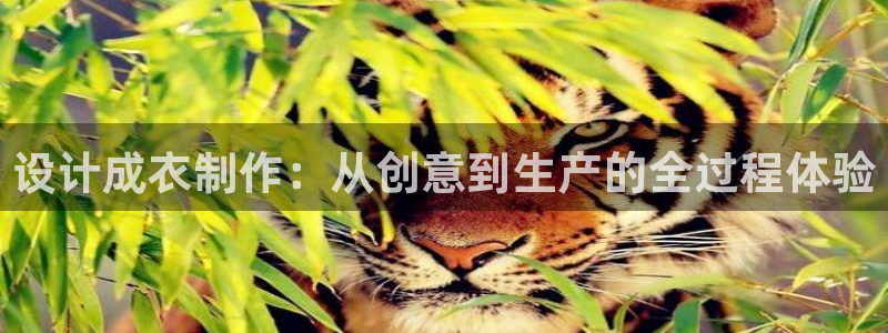 利记娱乐网官网