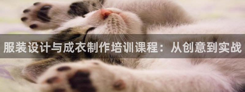 利记厨具官网售后