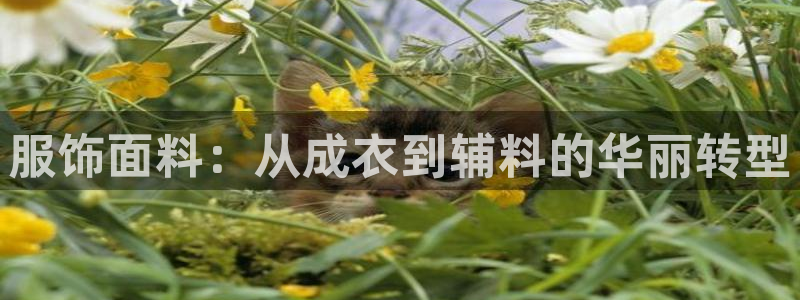 利记信誉官网