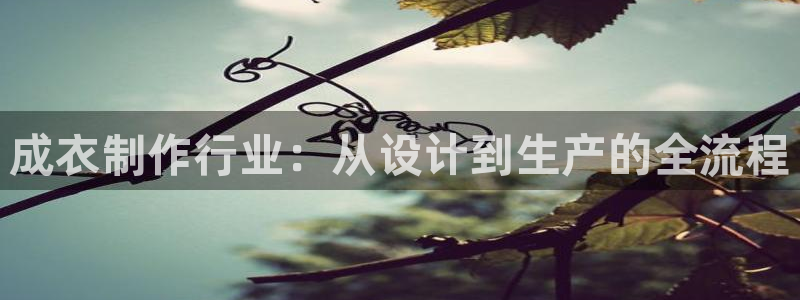 利记官网是什么