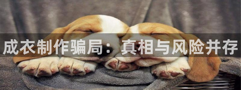 利记官网app下载网址日博官网网址