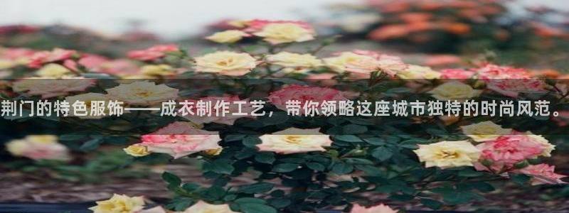 利记官网平台入口