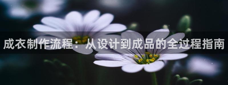 利记bet官网登录入口