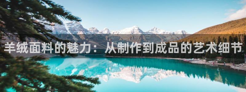 利记体育手机版官网