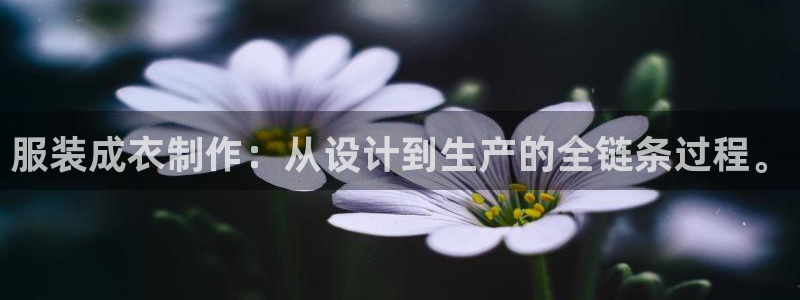 利记官网app下载网址日博官网网址
