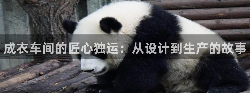 sbo利记体育官网