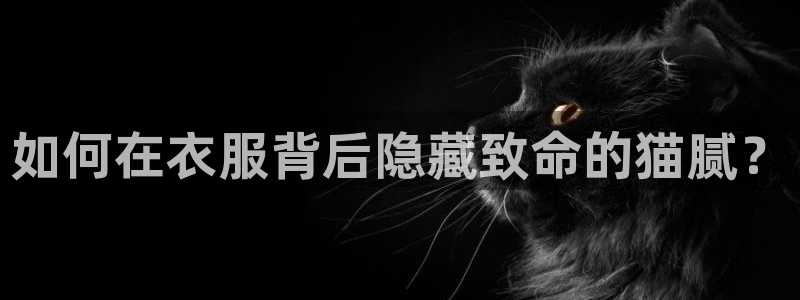 利记官网平台入口