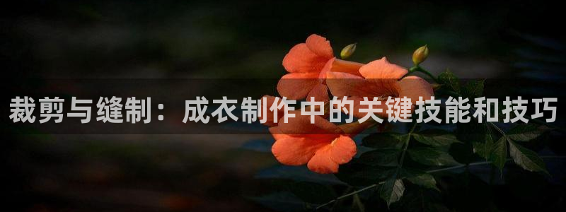 利记官网香菜1