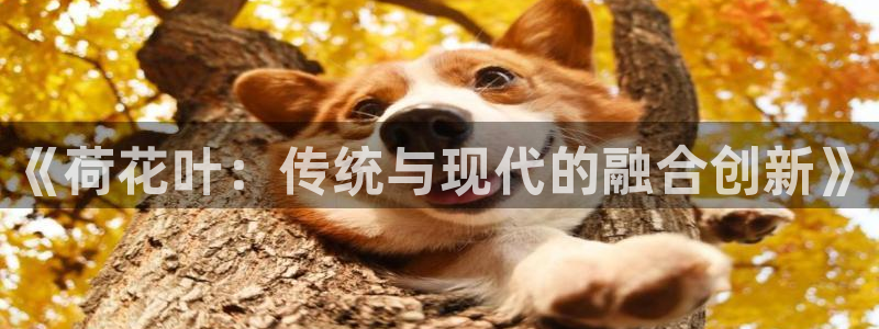 利记官网app下载网址日博官网网址