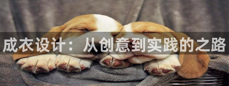 利记bet官网登录入口