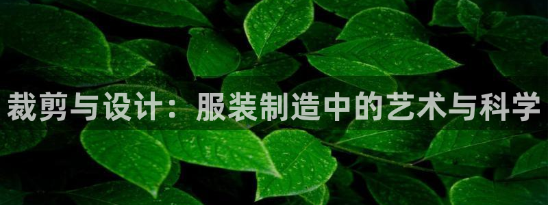 利记博彩官网