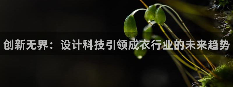 利记sbobet官网电脑版