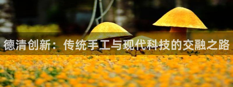 利记官网日亚运比