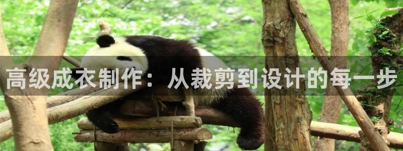 利记广告联盟官网