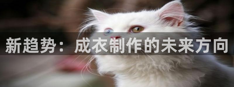 利记体育在线官网