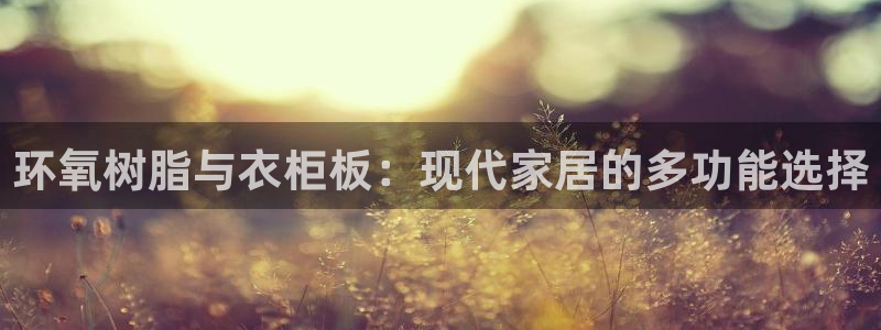 sbo利记体育官网注册