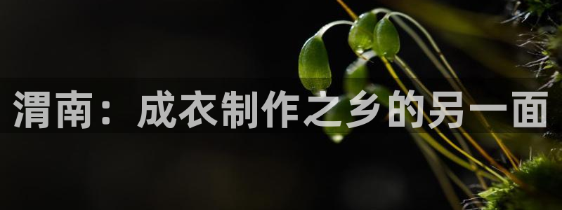 利记游戏官网