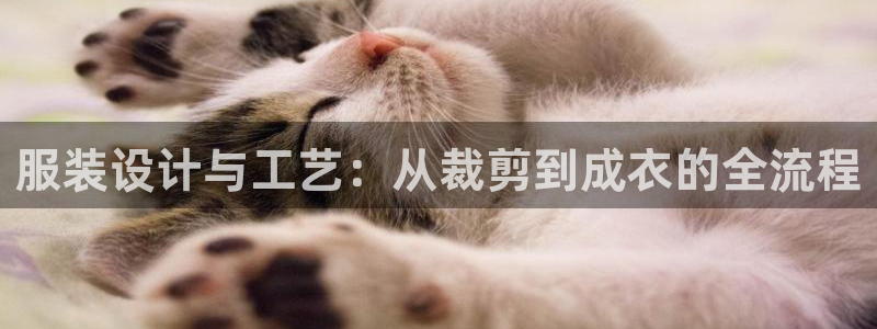 利记投注平台官网