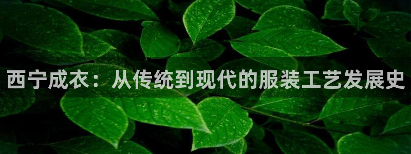 利记官网官方网址