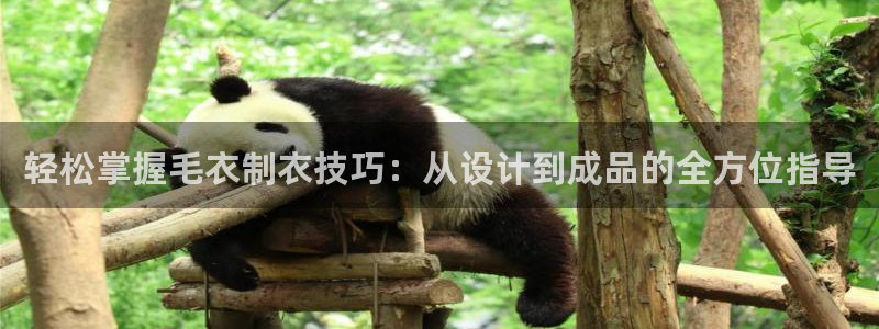 利记手机官网电子mg官方网站